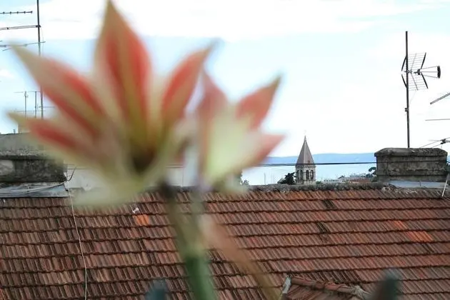 Apart Daire, Birden Çok Yatak