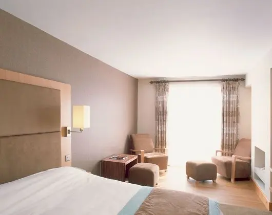 Deluxe Büyük Yataklı Tek Kişilik Oda, 1 Çift Kişilik Yatak