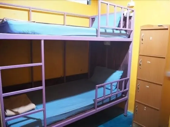 Mixed Dorm 4 Beds