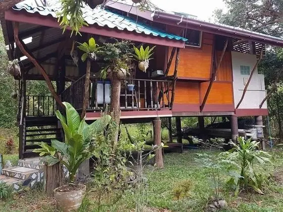 Basic Bungalow