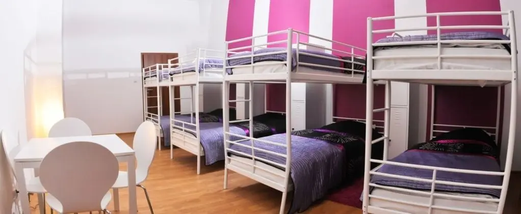 Basic Ortak Ranzalı Oda, Birden Çok Yatak (5 bunk beds)