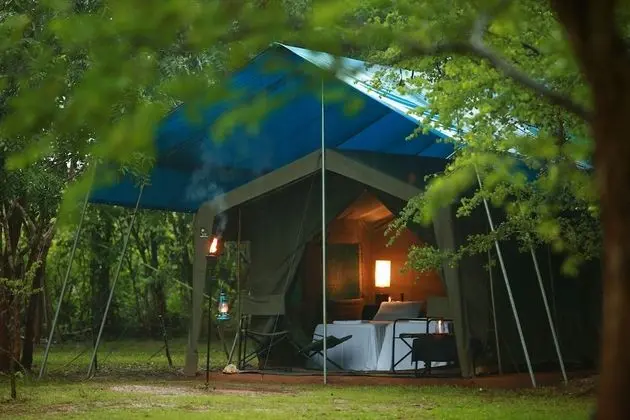 Tent with a night walk - on Half Board