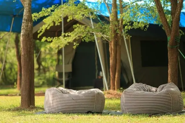 Tent with a night walk - on Half Board