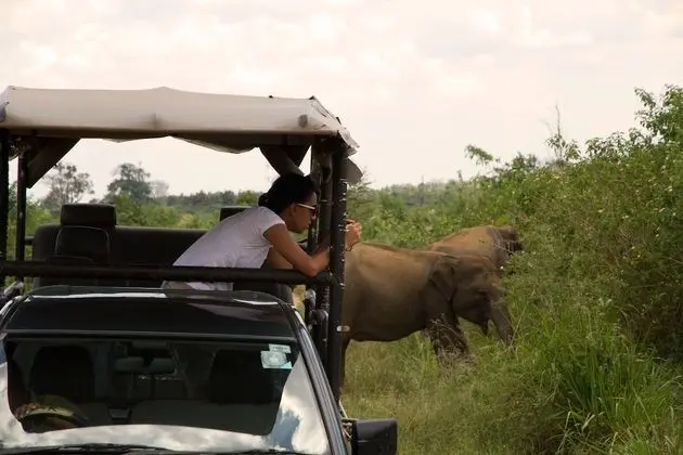 Tent with One Safari & a Night Walk - Half Board