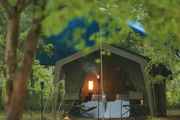 Tent with One Safari & a Night Walk - Half Board