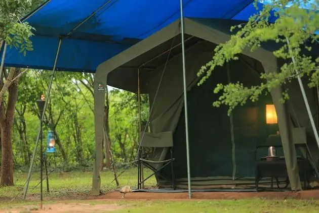 Tent with a night walk - on BB