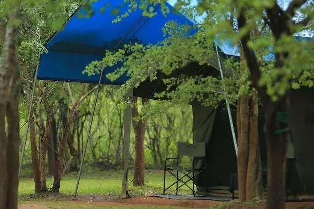 Tent with a night walk - on Full Board