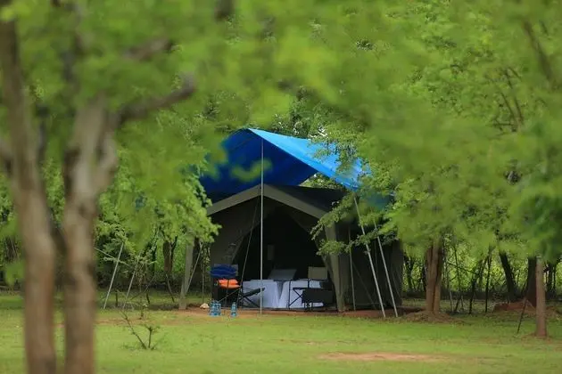 Tent with One Safari & a Night Walk - Half Board