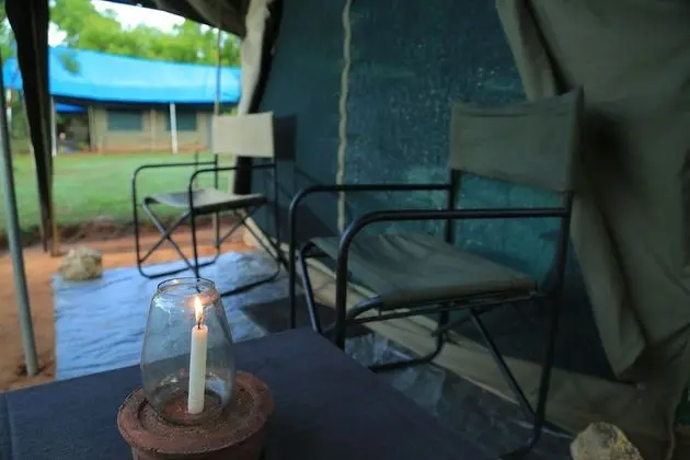 Family Glamping bordering Yala with a Guided Bush Walk