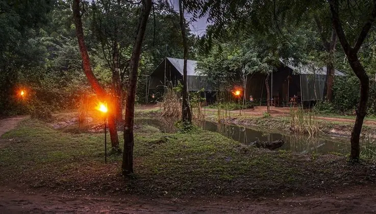 Family Glamping bordering Yala with a Guided Bush Walk