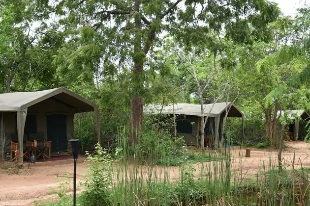 Family Glamping bordering Yala with a Guided Bush Walk
