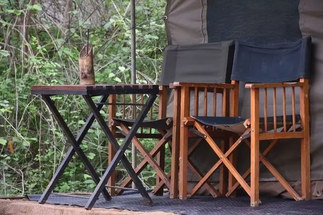 Glamping bordering Yala with a Guided Bush Walk