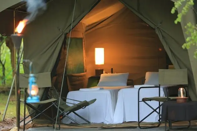 Glamping bordering Yala with a Guided Safari