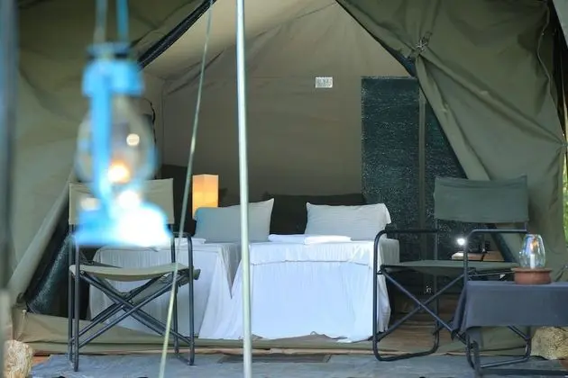 Glamping bordering Yala with a Guided Safari