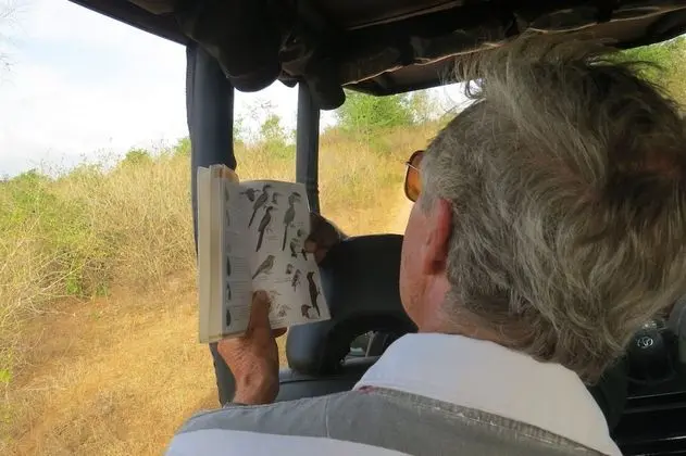 Glamping bordering Yala with a Guided Safari