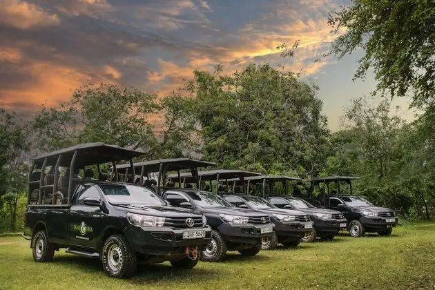 Glamping bordering Yala with a Guided Safari