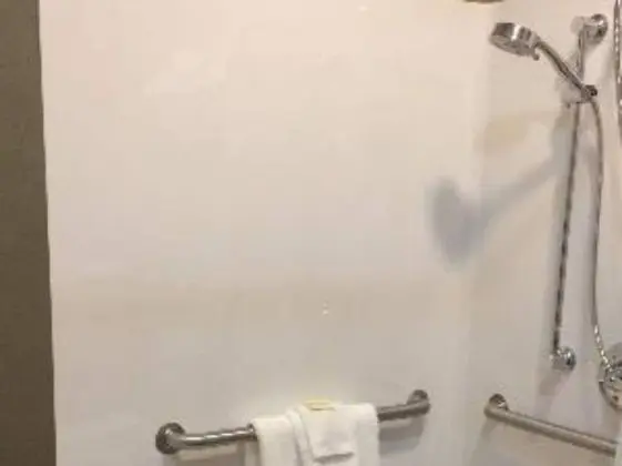 Standard Tek Büyük Yataklı Oda, Banyolu/Duşlu (ADA Queen Standard)