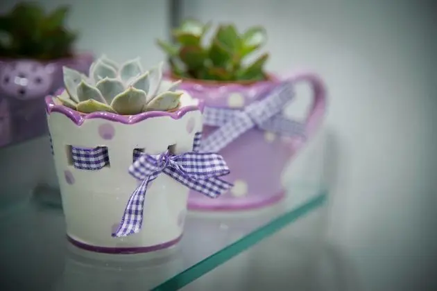 Superior Oda, Özel Banyo, Şehir Manzaralı