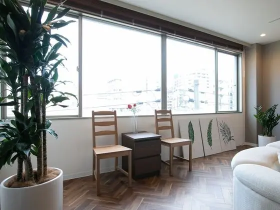 Deluxe Apart Daire (501)