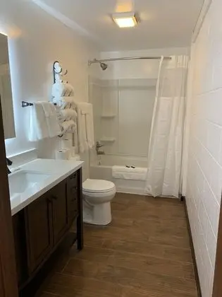 Deluxe Oda, Birden Çok Yatak, Buzdolabı ve Mikrodalga