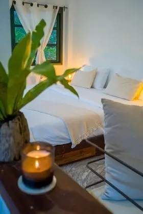 Boutique Room