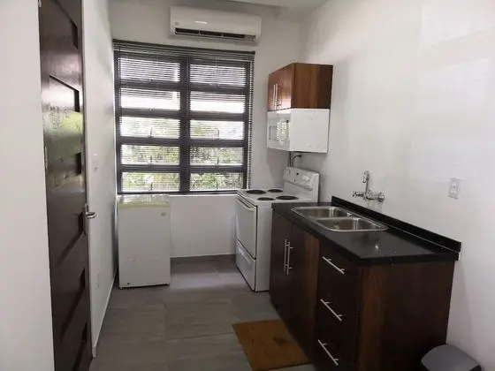 Apart Daire, 2 Yatak Odası (4 Guests)