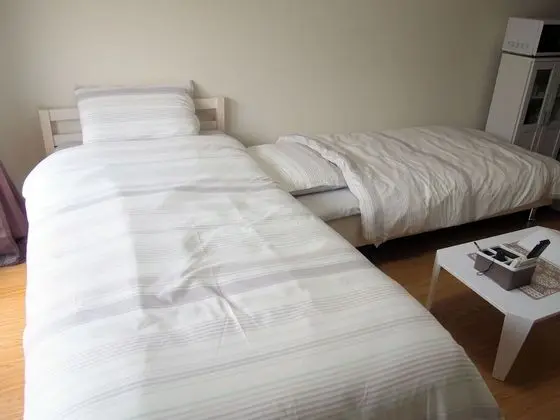 Apart Daire (Free bike, Free portable WIFI, 302)