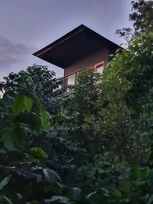 Comfort Kulübe, Bahçe Manzaralı