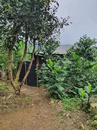 Comfort Kulübe, Bahçe Manzaralı