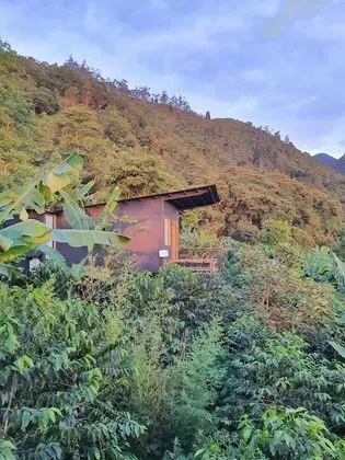 Family Kulübe, Bahçe Manzaralı