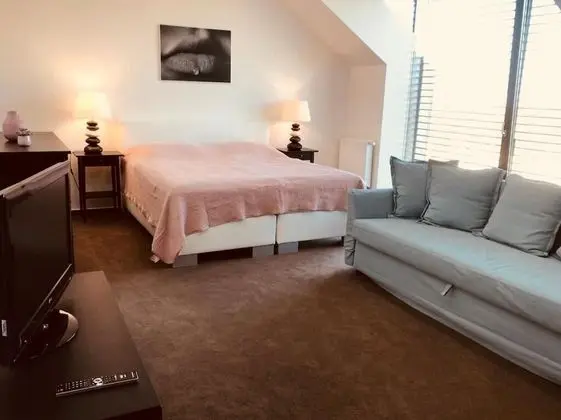 Executive Tek Büyük Yataklı Oda