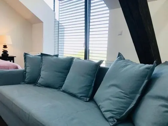 Executive Tek Büyük Yataklı Oda