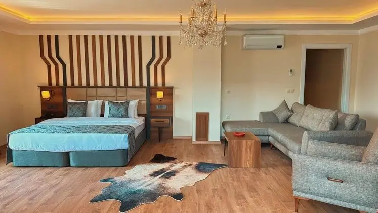 Deluxe Oda - Şehir Manzaralı