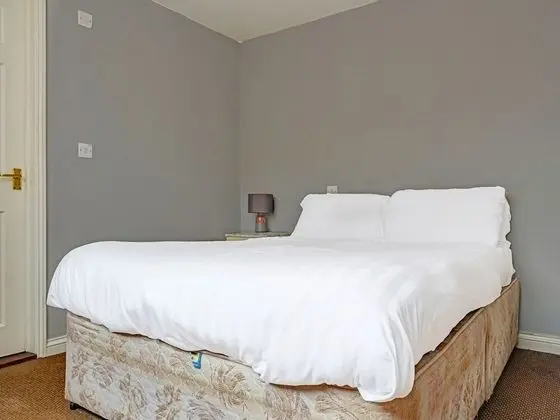 Standard Tek Büyük Yataklı Oda, 1 Çift Kişilik Yatak