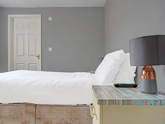 Standard Tek Büyük Yataklı Oda, 1 Çift Kişilik Yatak