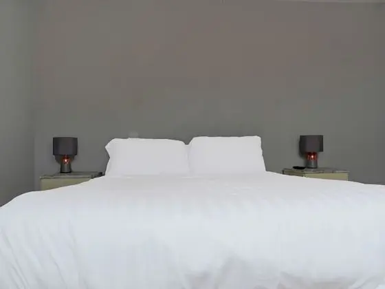 Standard Tek Büyük Yataklı Oda, 1 Çift Kişilik Yatak