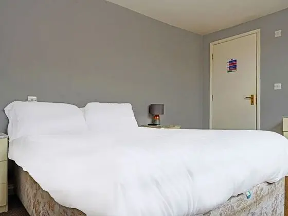 Standard Tek Büyük Yataklı Oda, 1 Çift Kişilik Yatak