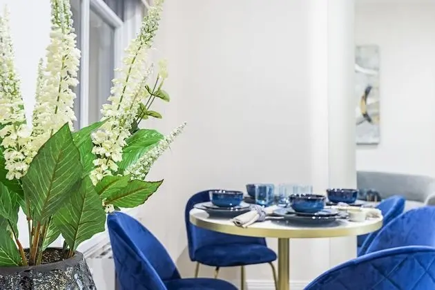 Executive Apart Daire, 1 Yatak Odası