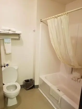 Deluxe Oda, Birden Çok Yatak (1 King, 1 Sofa Bed and 1 Bunk Bed)