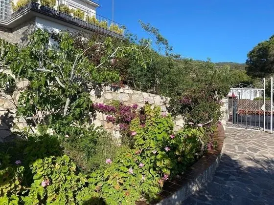 Apart Daire, 1 Yatak Odası, Engellilere Uygun, Buzdolabı