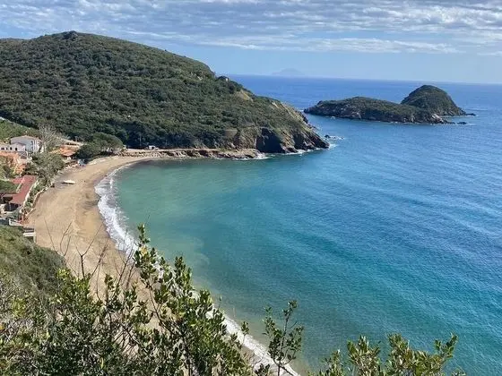 Apart Daire, 1 Yatak Odası, Engellilere Uygun, Buzdolabı