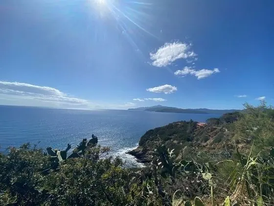 Apart Daire, 1 Yatak Odası, Engellilere Uygun, Buzdolabı