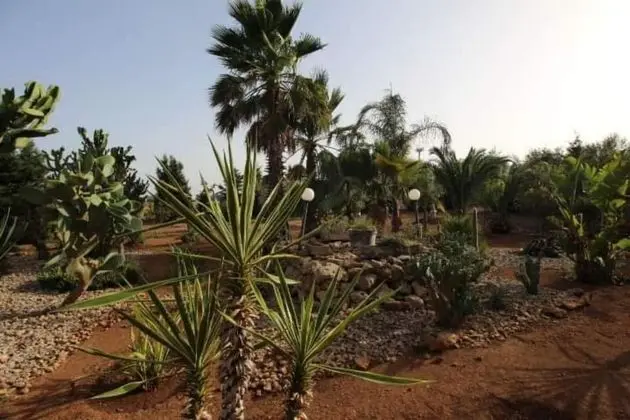 Apart Daire, 1 Yatak Odası, Veranda