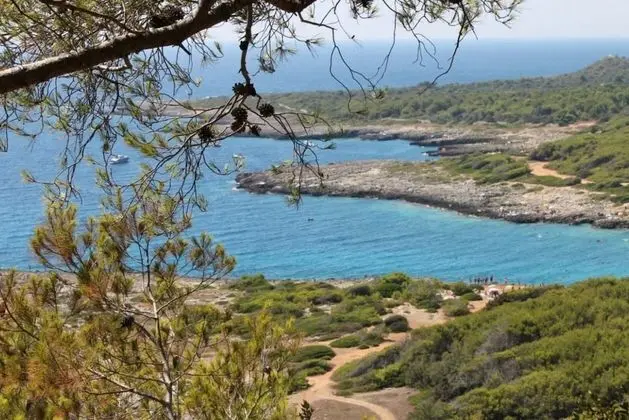 Villa, 1 Yatak Odası