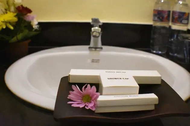 Standard Tek Büyük Yataklı Oda, 1 Çift Kişilik Yatak, Sigara İçilmez