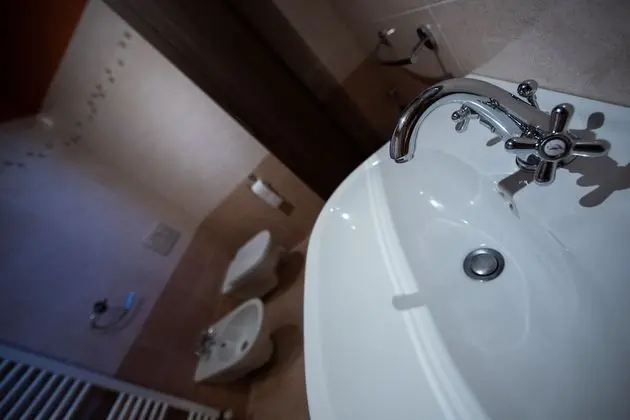 Premium Tek Büyük Yataklı Oda, Bahçe Manzaralı