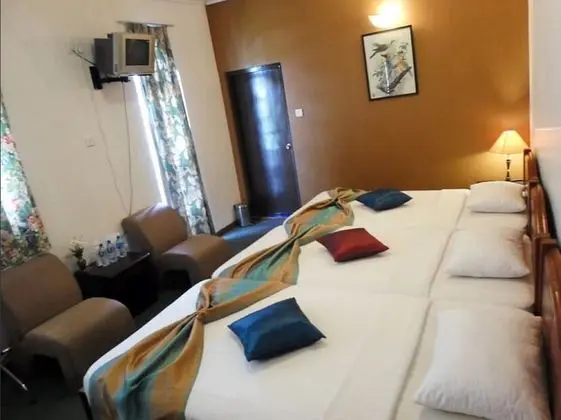 Deluxe Üç Kişilik Oda, Banyolu/Duşlu, Dağ Yamacı