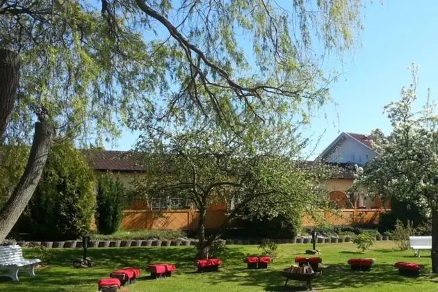 Junior Süit, 1 En Büyük (King) Boy Yatak