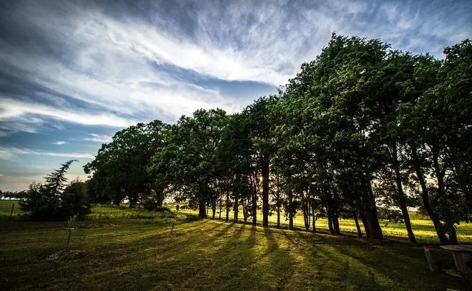 Deluxe Çadır, Bahçe Manzaralı