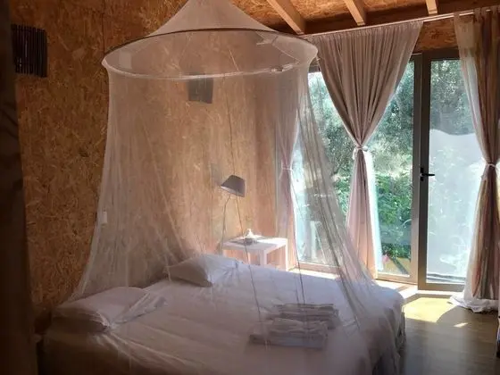 Tek Büyük veya İki Ayrı Yataklı Oda (Purple Room)